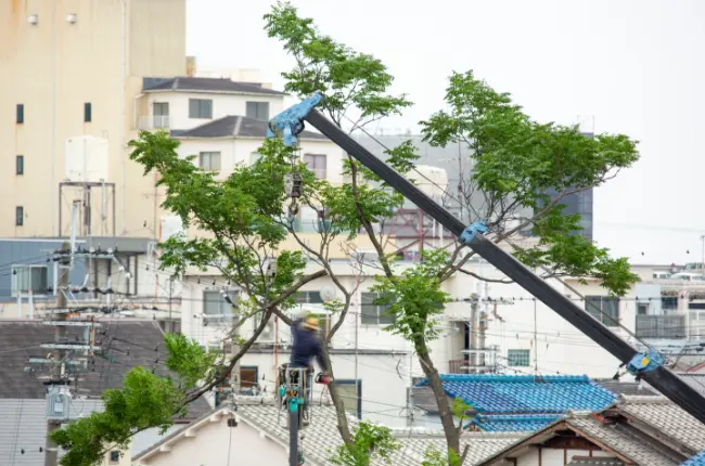 配電線の保守管理工事?それはまちの生活を人の暮らしを支える仕事