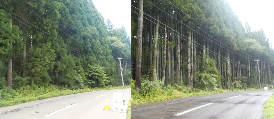 自然の中でストレスフリーで働ける環境です